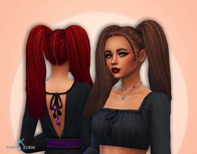 Braids Pigtails